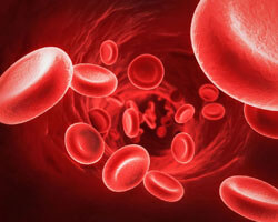 پلاکت‌های خون را چگونه به صورت طبیعی افزایش دهیم؟
