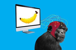 میمون‌ها اجرای بازی‌های ویدئویی را یاد گرفتند!