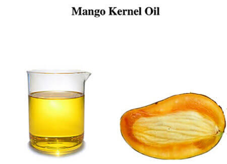 https://dl.greenbeautymag.com/2021/07/properties2-mango2-kernel-oil2.jpg