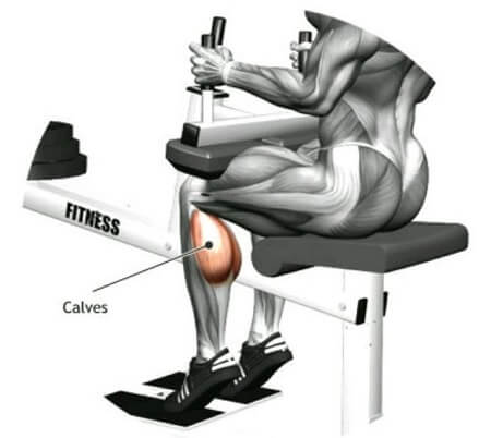 تقویت عضلات ساق پا با دستگاه ساق پا نشسته