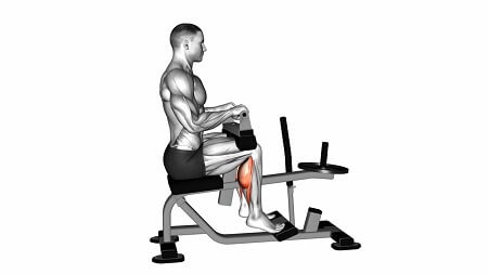 تقویت عضلات ساق پا با دستگاه ساق پا نشسته