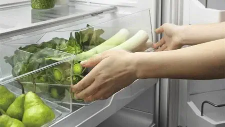 جلوگیری از کپک زدن سبزیجات