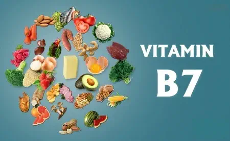 ویتامین ب ۷ یا بیوتین:فواید، عوارض و مواد غذایی حاوی ویتامینb7