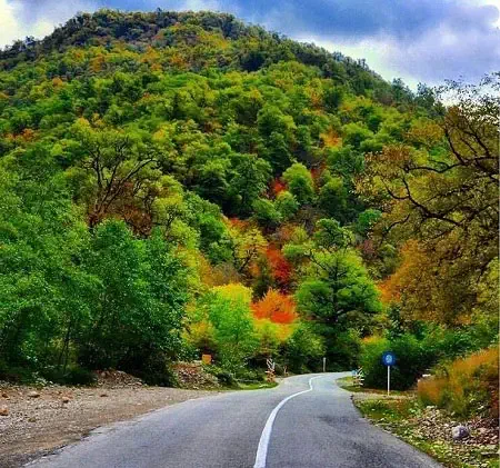 معرفی جاده توسکستان در گرگان؛ زیباترین جاده جنگلی
