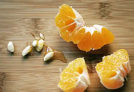آموزش کاشت سبزه با هسته پرتقال