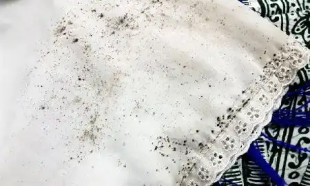نحوه تمیز کردن کپک از روی لباس ها
