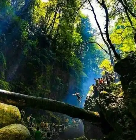 جنگل نیرنگ؛ محبوب‌ترین مقصد گردشگری مازندران