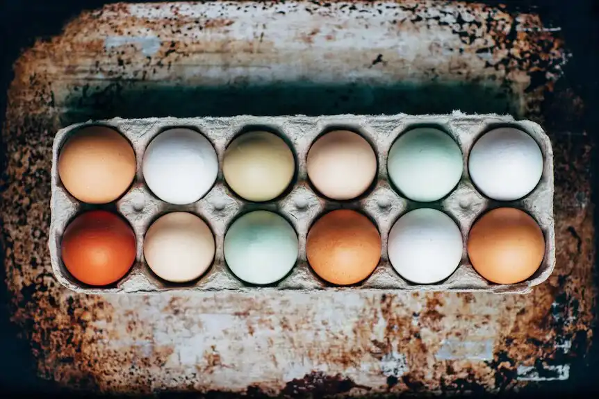 عجایب تخم مرغ که نمی‌دانستید | این تخم مرغ ها ویتامین دی و امگا ۳ بیشتری دارند