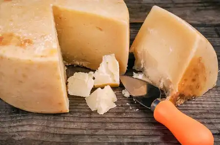 دستور تهیه پنیر پارمسان در خانه؛ پنیر محبوب ایتالیایی