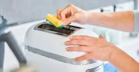 تمیز کردن اصولی تستر نان