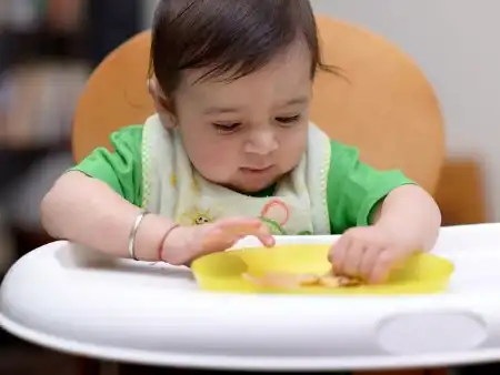 غذای انگشتی برای کودک چیست و از چه زمانی شروع می شود؟
