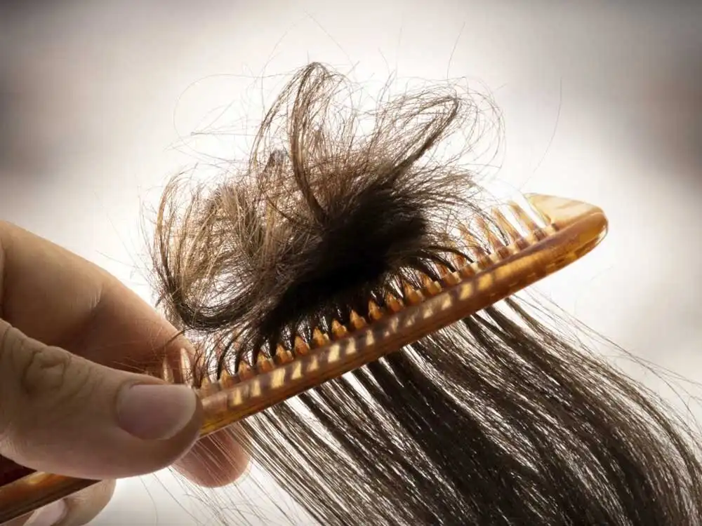 ۱۵ نکته طلایی برای گره نخوردن موها ؛ روش درست برس کشیدن و شامپو زدن موها | اگر با موی خیس می‌خوابید بخوانید