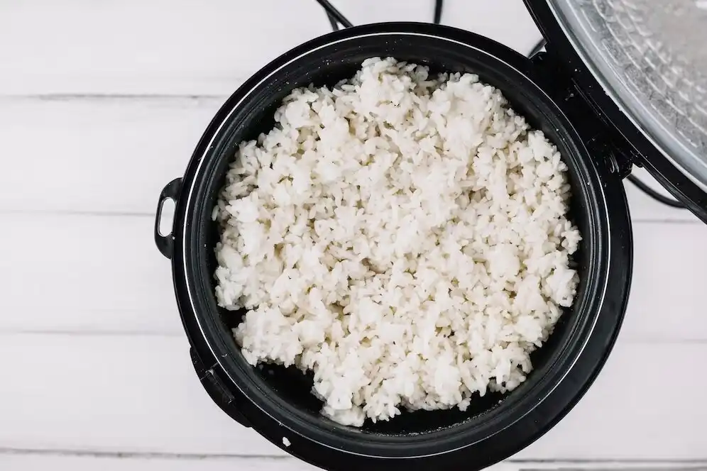 روش صحیح نگهداری برنج پخته در فریزر | ماندگاری برنج پخته در فریزر چند روز است؟