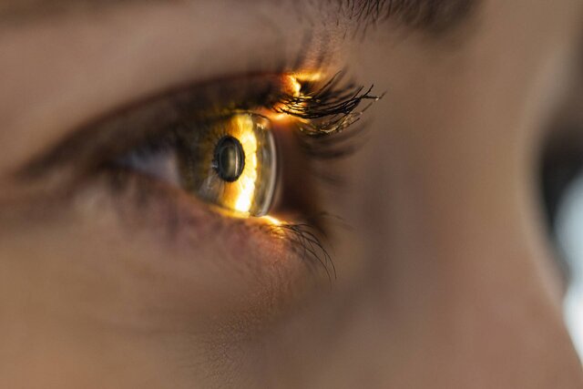 زیست ‌تراشه هوشمند، شبکیه چشم انسان را شبیه‌سازی می‌کند