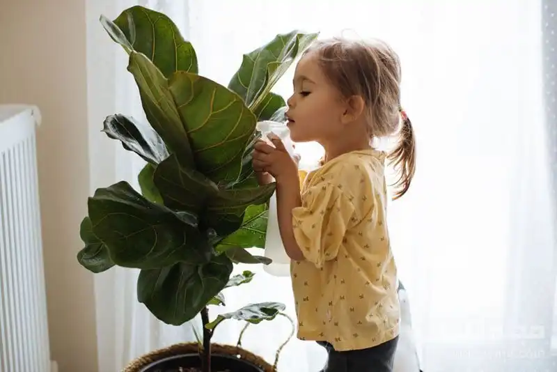 این ۸ گیاه سمی و خطرناک را بشناسید | هشدار به والدین : مراقب عوارض گیاهان سمی در فرزندان خود باشید