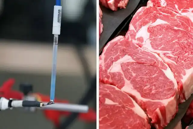 حسگر زیستی جدیدی که فساد گوشت را تشخیص می‌دهد