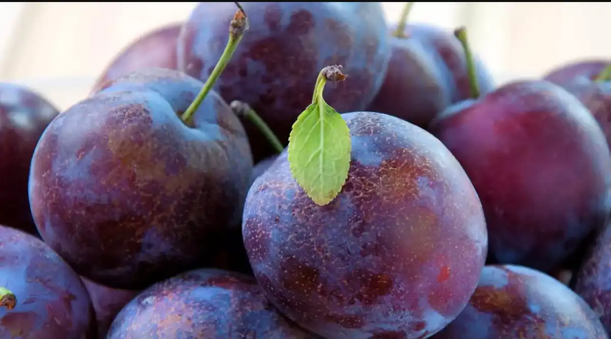 فواید بی نظیر آلو سیاهرنگ برای بدن
