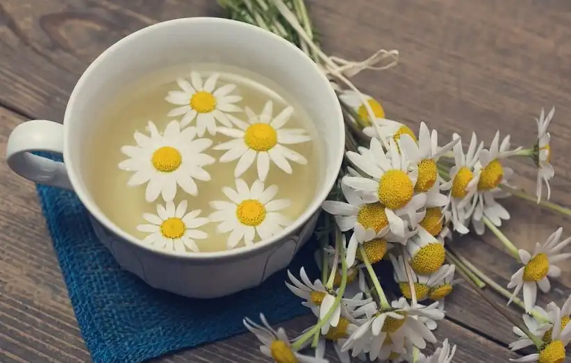 معجزه این گیاه برای سلامت و درخشندگی پوست