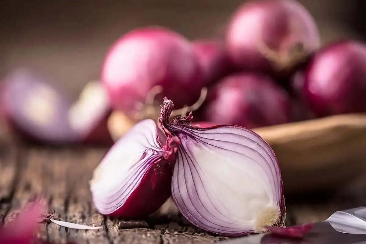 معجزه این گیاه در کاهش سریع قند خون