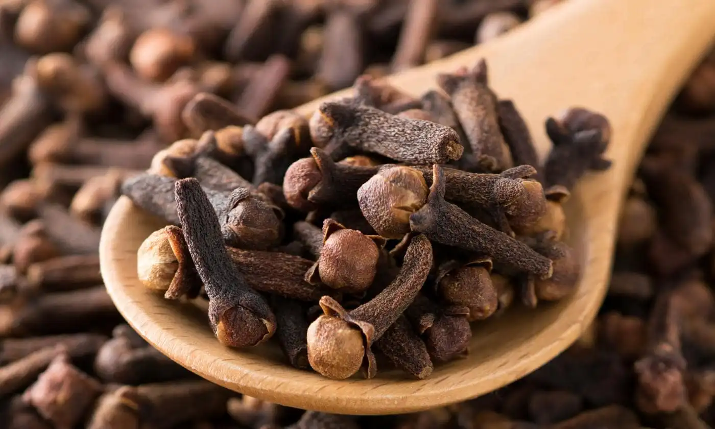 ۴ فایده شگفت‌انگیز این گیاه معطر