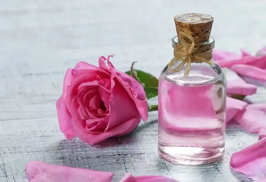 گلاب: عصاره‌ای برای زیبایی و سلامت