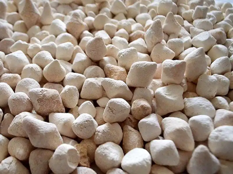 مصرف این ماده برای کاهش کلسترول مفید است