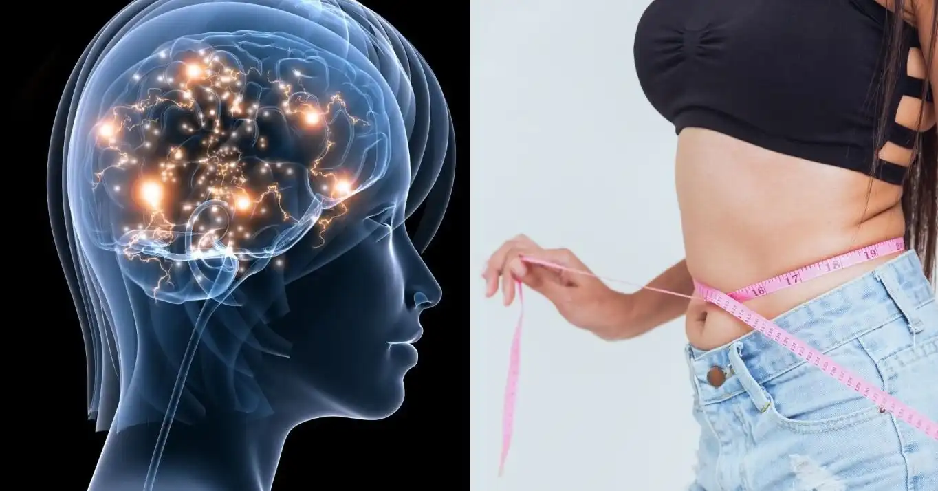 برای حفظ سلامت مغز کمی چربی دور کمر لازم است