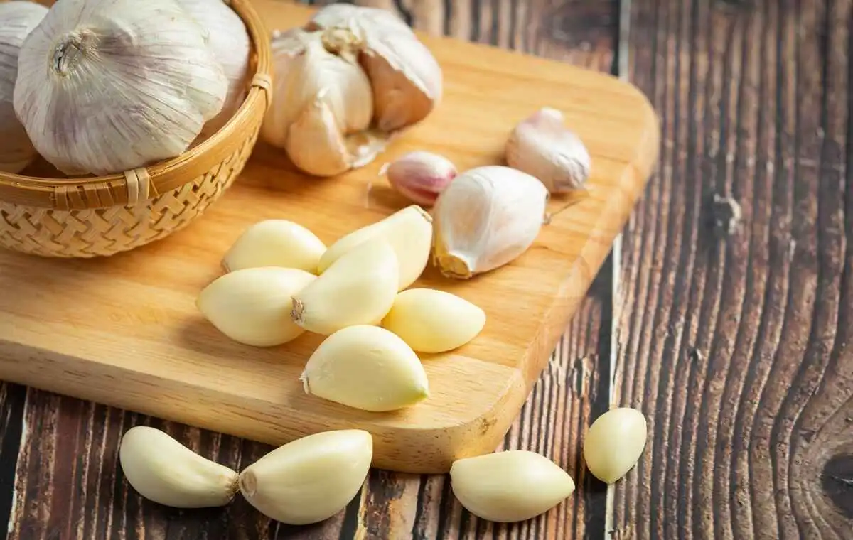 چرا مصرف سیر توصیه می‌شود؟