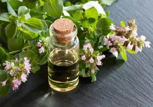روغن پونه کوهی برای این افراد مضر است روغن پونه کوهی برای این افراد مضر است