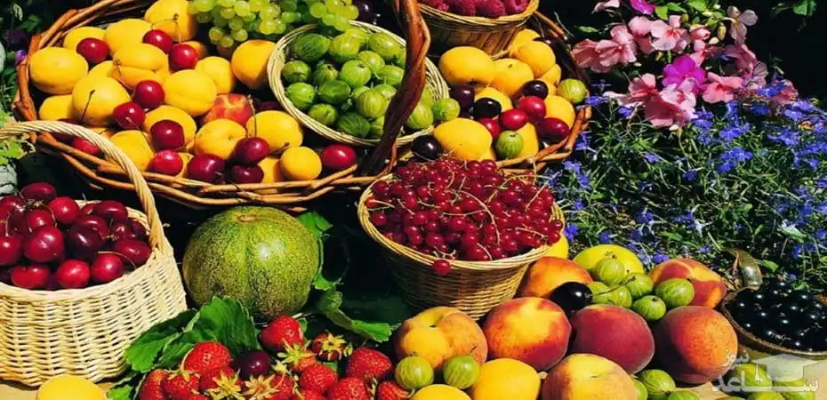 میوه‌های ممنوعه تابستانی برای بیماران دیابتی؛ چه بخورند و چه نخورند؟