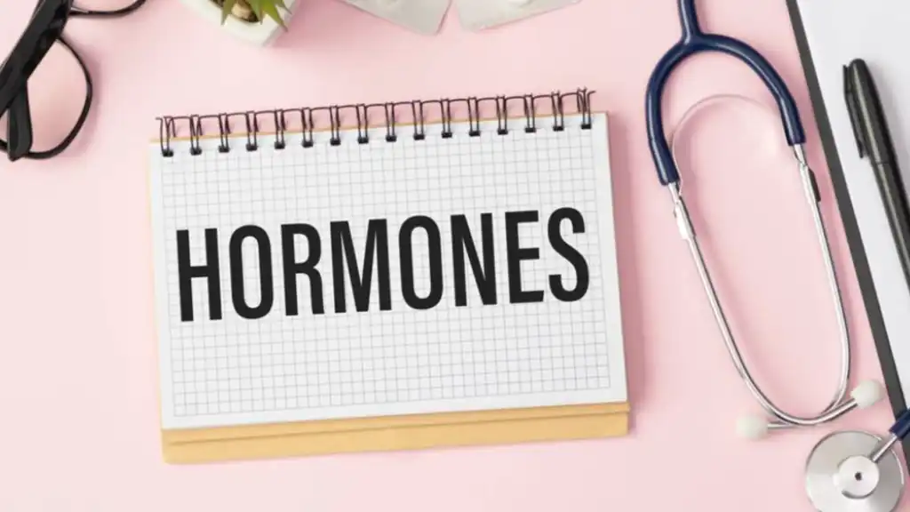 هورمونها و سلامت روان؛ ارتباطی که عمیقتر از تصور ماست هورمونها و سلامت روان؛ ارتباطی که عمیقتر از تصور ماست
