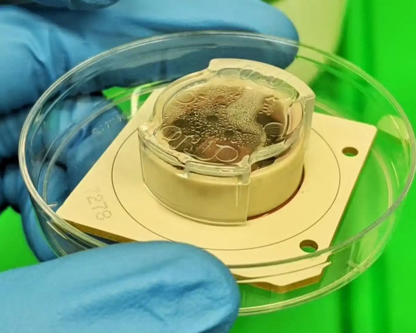 رایانه‌های زیستی بر پایه مغز طی ۱۰ سال هوش مصنوعی را متحول خواهند کرد