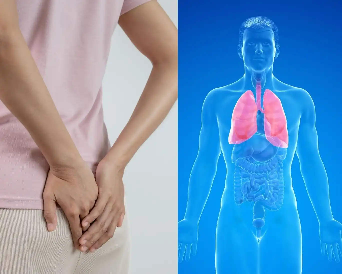 «تنفس از راه مقعد»؛ ایده‌ای علمی که دیگر شوخی نیست