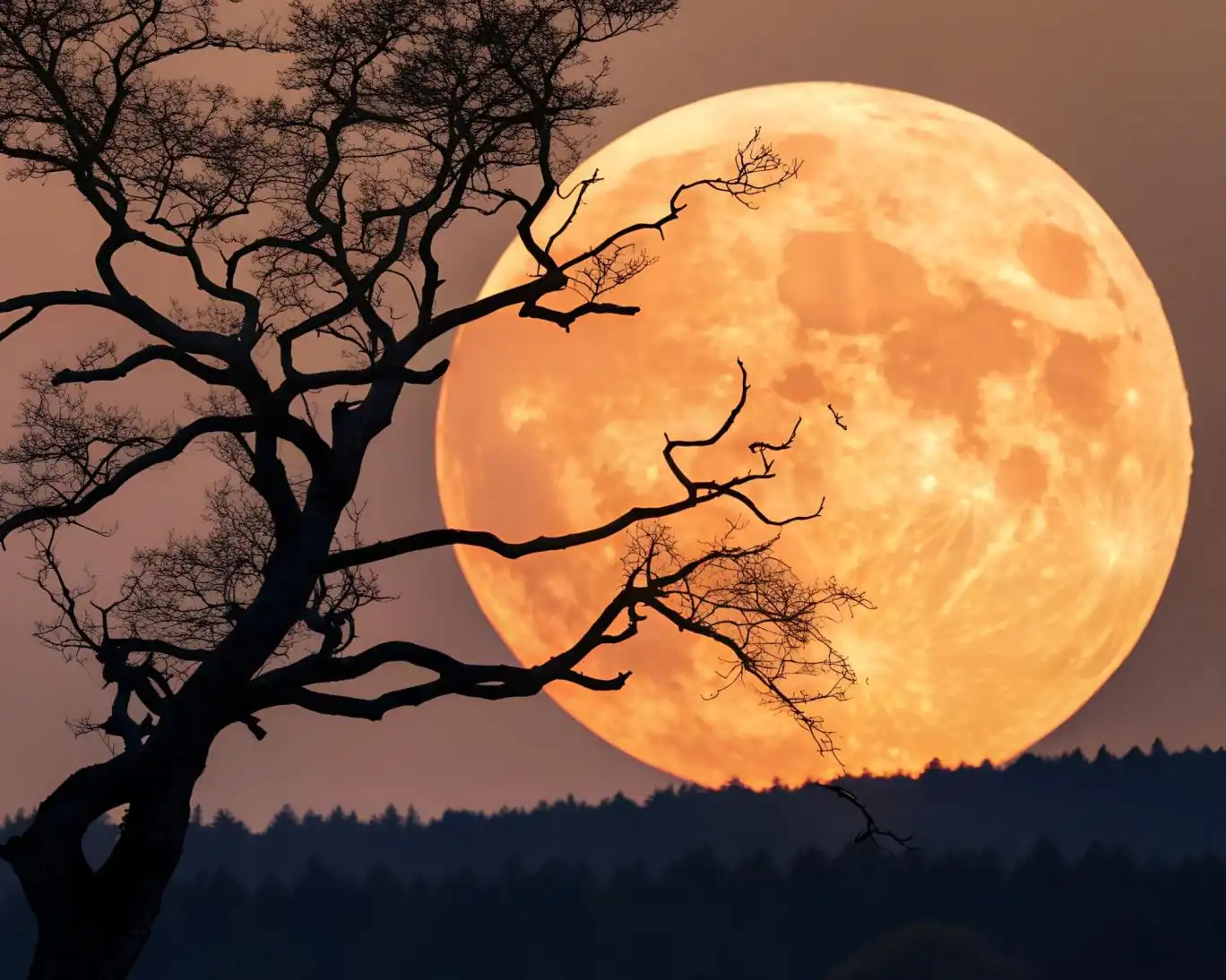 «ابرماه» مهمان امشب آسمان ایران است؛ پدیده‌ای زیبا و کم‌نظیر