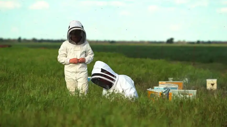 زنبورداری آینده: فناوری نوآورانه